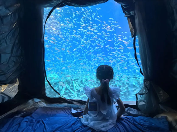 8月2日海洋夜宿火熱招募！與魚共眠的浪漫奇遇名額有限，速來！